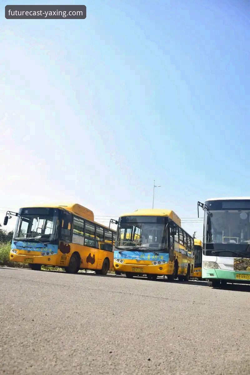 亚星体育平台视角下的亚星客车可靠解决方案全面评测